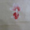 Yamakawa Shuho: Hanging Scroll Kakemono