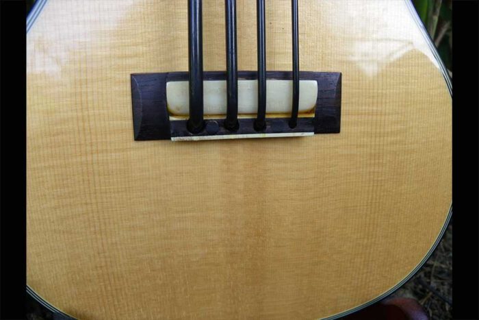 Historical Prototype Ukulele Bass