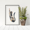 Calico Cat - Image 5